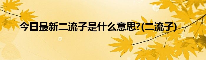今日最新二流子是什么意思?(二流子)