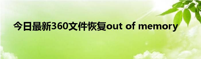 今日最新360文件恢复out of memory