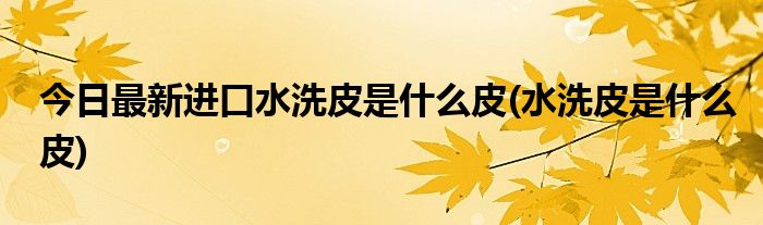 今日最新进口水洗皮是什么皮(水洗皮是什么皮)