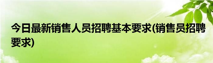 今日最新销售人员招聘基本要求(销售员招聘要求)