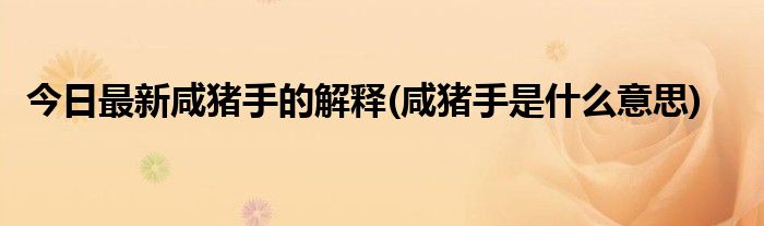 今日最新咸猪手的解释(咸猪手是什么意思)