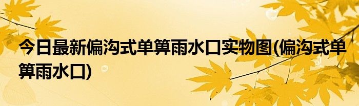 今日最新偏沟式单箅雨水口实物图(偏沟式单箅雨水口)