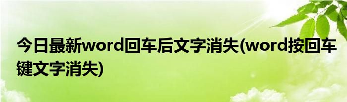 今日最新word回车后文字消失(word按回车键文字消失)