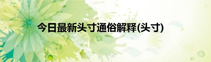 今日最新头寸通俗解释(头寸)