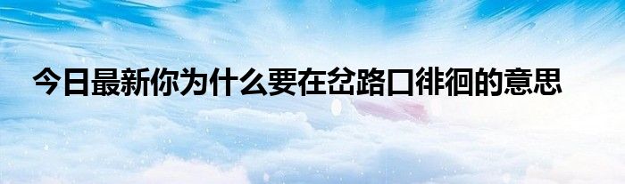 今日最新你为什么要在岔路口徘徊的意思