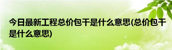 今日最新工程总价包干是什么意思(总价包干是什么意思)