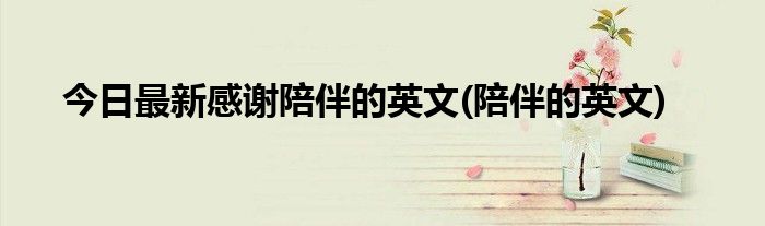 今日最新感谢陪伴的英文(陪伴的英文)