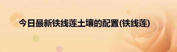 今日最新铁线莲土壤的配置(铁线莲)