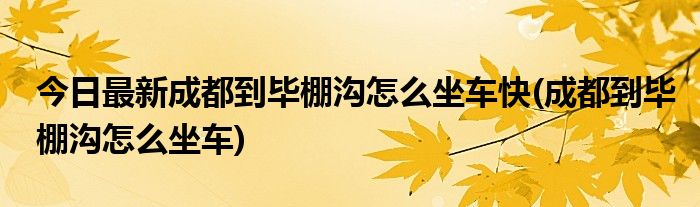 今日最新成都到毕棚沟怎么坐车快(成都到毕棚沟怎么坐车)