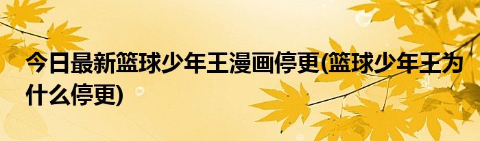 今日最新篮球少年王漫画停更(篮球少年王为什么停更)