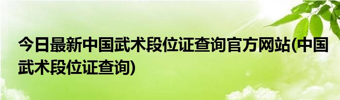 今日最新中国武术段位证查询官方网站(中国武术段位证查询)