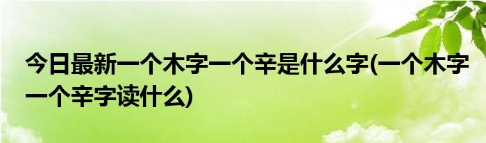 今日最新一个木字一个辛是什么字(一个木字一个辛字读什么)