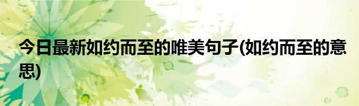 今日最新如约而至的唯美句子(如约而至的意思)