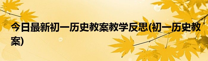 今日最新初一历史教案教学反思(初一历史教案)