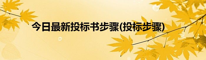 今日最新投标书步骤(投标步骤)