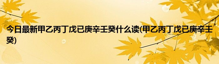 今日最新甲乙丙丁戊已庚辛壬癸什么读(甲乙丙丁戊已庚辛壬癸)