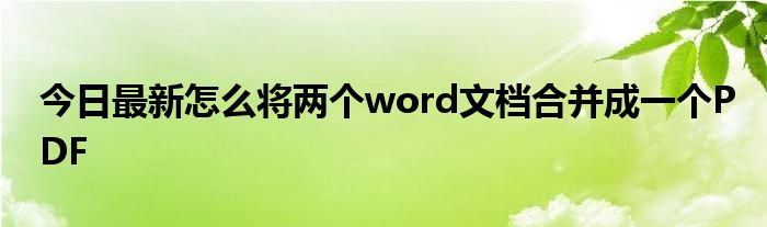 今日最新怎么将两个word文档合并成一个PDF