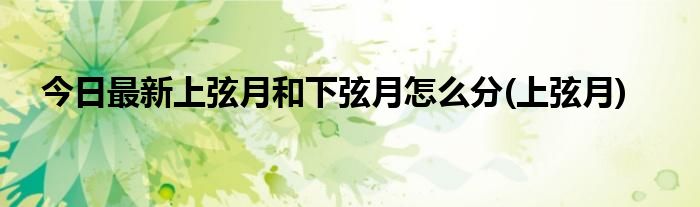今日最新上弦月和下弦月怎么分(上弦月)