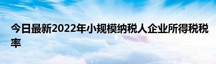 今日最新2022年小规模纳税人企业所得税税率