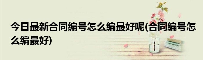 今日最新合同编号怎么编最好呢(合同编号怎么编最好)