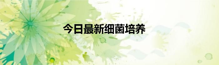今日最新细菌培养