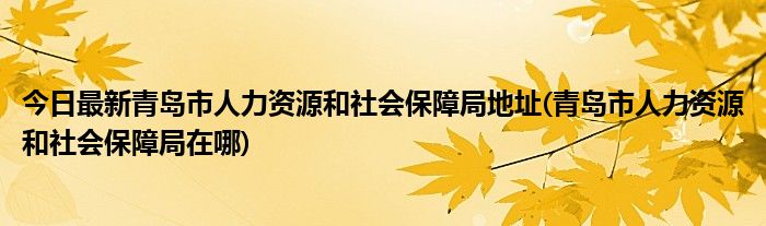 今日最新青岛市人力资源和社会保障局地址(青岛市人力资源和社会保障局在哪)