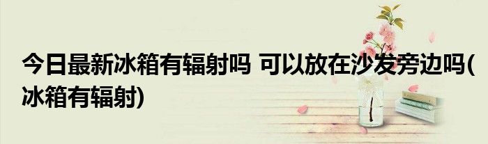 今日最新冰箱有辐射吗 可以放在沙发旁边吗(冰箱有辐射)