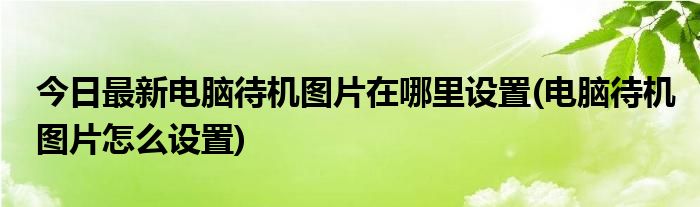 今日最新电脑待机图片在哪里设置(电脑待机图片怎么设置)