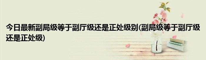 今日最新副局级等于副厅级还是正处级别(副局级等于副厅级还是正处级)