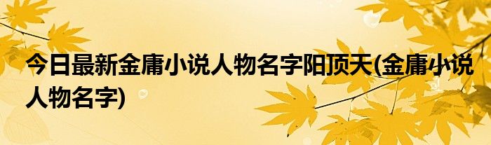 今日最新金庸小说人物名字阳顶天(金庸小说人物名字)