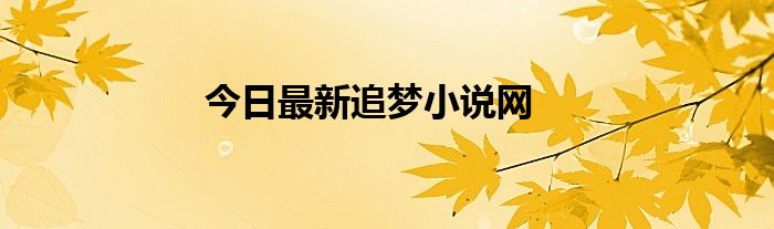今日最新追梦小说网