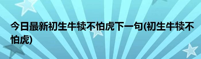 今日最新初生牛犊不怕虎下一句(初生牛犊不怕虎)