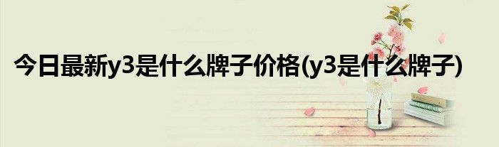 今日最新y3是什么牌子价格(y3是什么牌子)