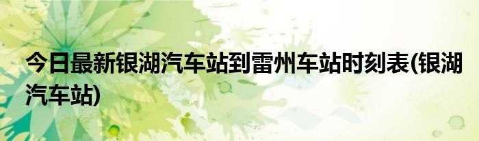 今日最新银湖汽车站到雷州车站时刻表(银湖汽车站)
