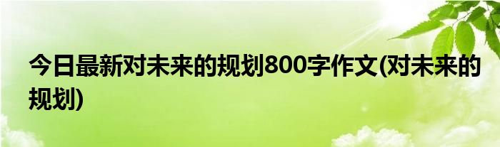 今日最新对未来的规划800字作文(对未来的规划)