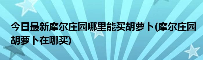 今日最新摩尔庄园哪里能买胡萝卜(摩尔庄园胡萝卜在哪买)