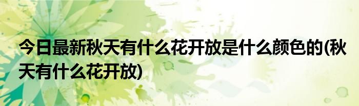 今日最新秋天有什么花开放是什么颜色的(秋天有什么花开放)