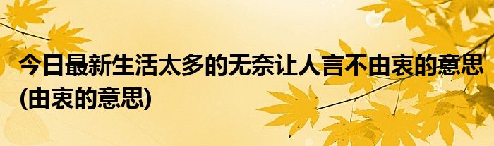 今日最新生活太多的无奈让人言不由衷的意思(由衷的意思)