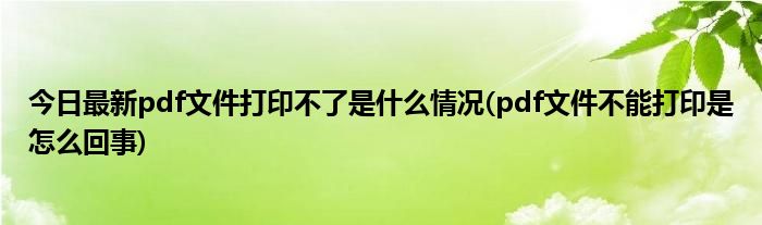 今日最新pdf文件打印不了是什么情况(pdf文件不能打印是怎么回事)