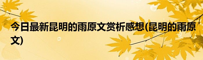 今日最新昆明的雨原文赏析感想(昆明的雨原文)