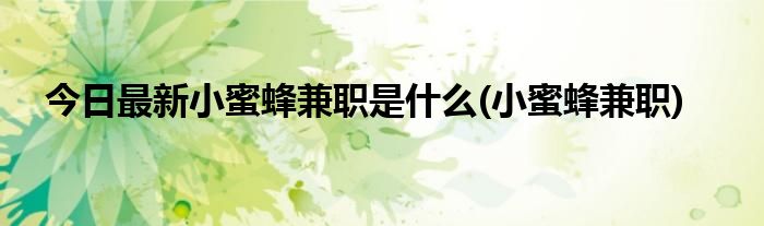 今日最新小蜜蜂兼职是什么(小蜜蜂兼职)