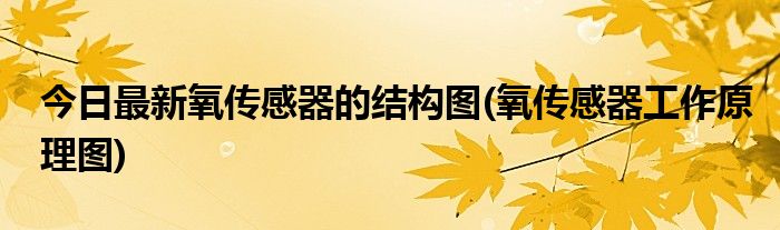 今日最新氧传感器的结构图(氧传感器工作原理图)