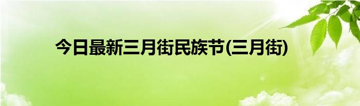 今日最新三月街民族节(三月街)