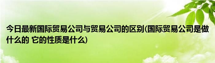 今日最新国际贸易公司与贸易公司的区别(国际贸易公司是做什么的 它的性质是什么)