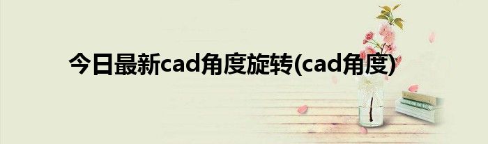 今日最新cad角度旋转(cad角度)