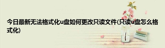 今日最新无法格式化u盘如何更改只读文件(只读u盘怎么格式化)
