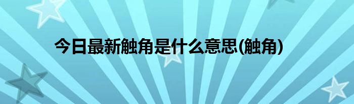 今日最新触角是什么意思(触角)
