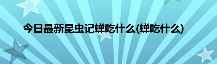 今日最新昆虫记蝉吃什么(蝉吃什么)