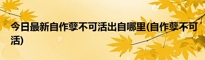 今日最新自作孽不可活出自哪里(自作孽不可活)