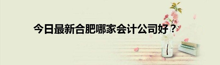 今日最新合肥哪家会计公司好?